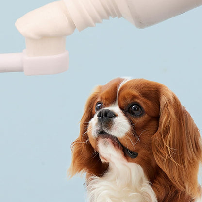 Puppy Toothbrush, Soft Toothbrush Cats, Non Slip Teeth Cleaning Tool, Gentle Pet Oral Care Brush 6.61x0.75x0.31 inches for Dogs Cat, Hygiene Supplies Daily Use
