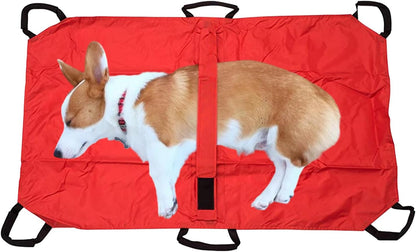 Pet Stretcher, Animal Transport Tool, 47.24x29.13x1.18 Inches Multifunctional Foldable Design with Safety Strap Included, Pet Carrier for Puppy, Cat, Bunny, Transfer, Rescue