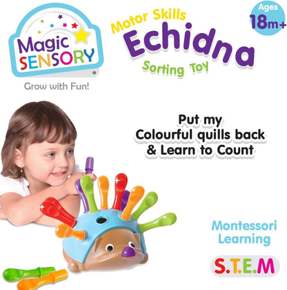 Magic Sensory Echidna Hedgehog Toy â€“ Montessori STEM Fine Motor Skills & Counting Baby Toy â€“ Interactive Educational Colour Sorting Sensory Toys for Toddlers 1-3 â€“ 14 Piece Set