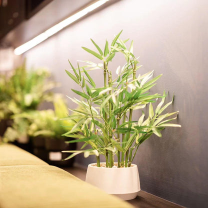 365 Blooming Decor 18" White Potted Faux Bamboo Plant- Luxury Artificial Bamboo Tree in White Pot for Home, Office, Kitchen, Counter Top, Indoor Decor, Money Tree, Lucky Bamboo Tree