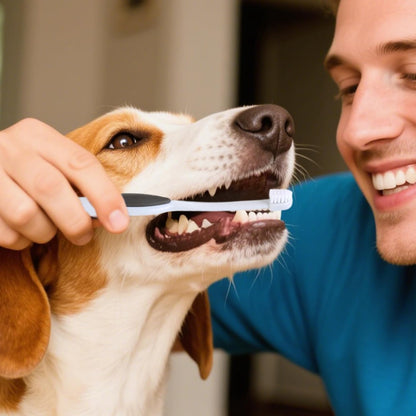 Dog Toothbrush, Kitten with Soft Bristles, Non-Slip Pets Oral Cares Brush, Teeth Cleaning Tool, Gentle Pet Grooming, Home Care and Hygiene for Dogs and Cats, 16.8x1.9x0.8cm