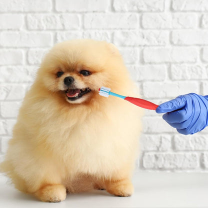 Sprofondimi di denti per cani - Spazzo da dente cucciolo a doppia testa | PROPRIETÀ DI CARE DENTALE PET | Strumento di pulizia multi-pet per la salute orale | Ideale per la toelettatura da esterno per