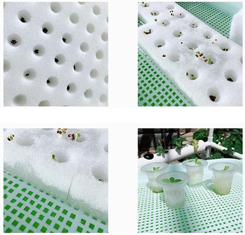 72 Plant Points Hydroponic Growing Systems Hydroponic Cultivation Kit Earthless Pipes Automatic Watering Systems for Offices Home Gardens 2 Levels