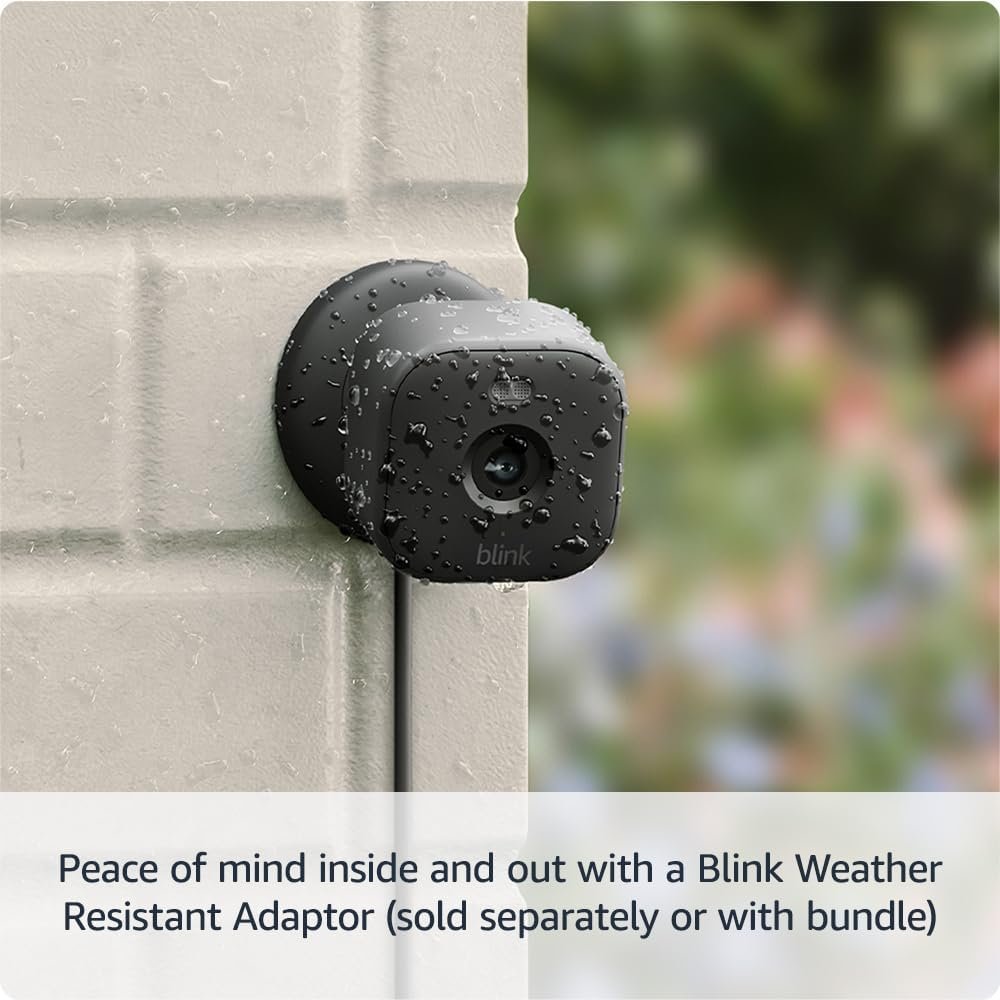 Introducing Blink Mini 2 â€” Plug-in smart home security camera, motion detection, HD night view in colour, built-in spotlight, two-way audio, Works with Alexa â€” 2 Cameras (Black)