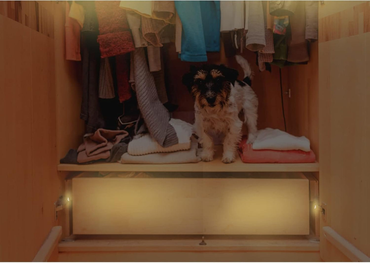 Joyzan Cabinet Hinge LED Light, Sensor Lights Universal Cupboard Light Smart Touch Induction for Modern Kitchen Home Lamp Closet Night Lamps Under Wardrobe Living Room Bedroom 10PCS Warm or White