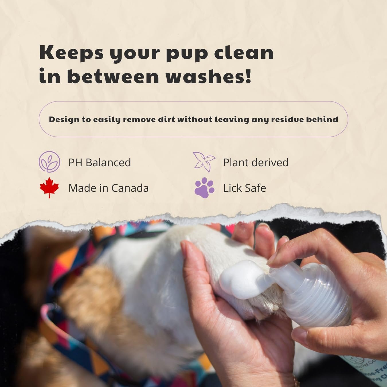 Drby Pet Co. No-Rinse Foaming Cleanser – Quick and Gentle Pet Hygiene (Lavender)