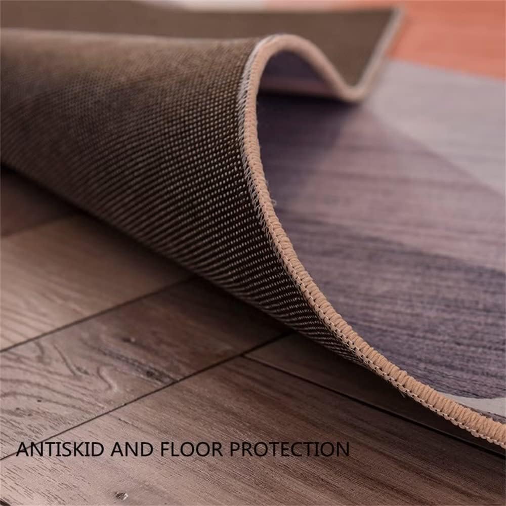 SUNYRDSM Tappeto Cucina Antiscivolo Tappeto Cameretta Bimba 200x300cm Tappeto soggiorno accessori per la casa grigi decorazione curva antiscivolo Antiscivolo Per Tappeti
