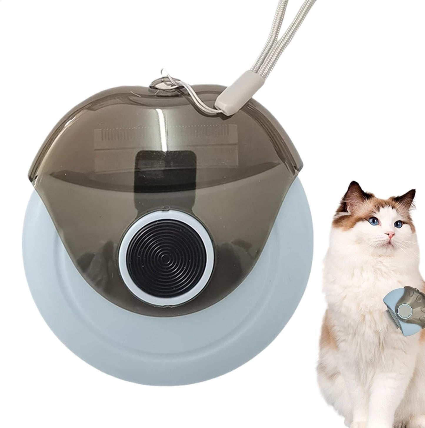 Spazzola per capelli per cani, con tacco, spazzola per capelli per cani, forfora, pettine multifunzione per animali domestici, attrezzi per la cura dei cuccioli per gatti