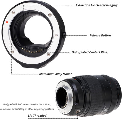 FOTGA AF Autofocus Adapter for Olympus and Panasonic Four Thirds 4/3 Lens to Micro Four Thirds (MFT, M4/3) Mount Camera, Compatible with GH4 GH5s GH6 E-PL5