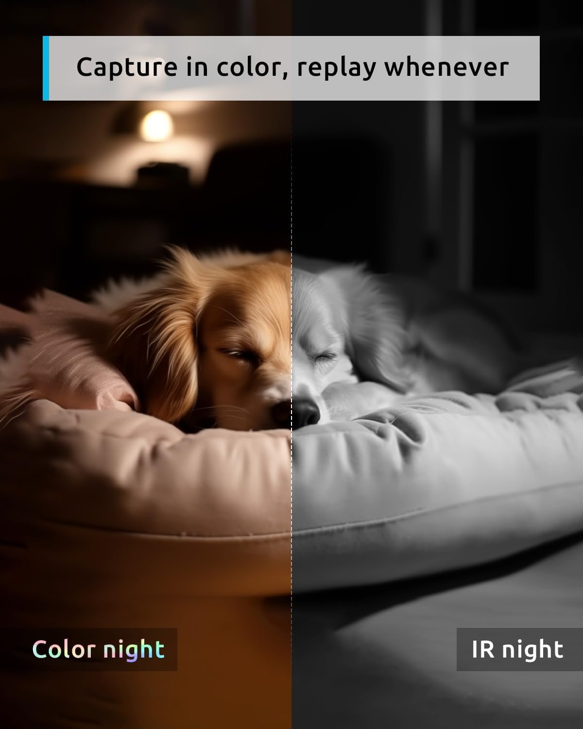 blurams Pet Camera 2K, 360Â° Indoor Security Camera, Dog Camera with Phone App, PTZ Cameras for Home Security Indoor, 5GHz&2.4GHz Dual-Band, 2-Way Talk, Motion Tracking, Color/IR Night Vision, Cloud&SD