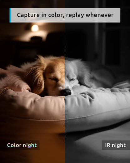 blurams Pet Camera 2K, 360Â° Indoor Security Camera, Dog Camera with Phone App, PTZ Cameras for Home Security Indoor, 5GHz&2.4GHz Dual-Band, 2-Way Talk, Motion Tracking, Color/IR Night Vision, Cloud&SD