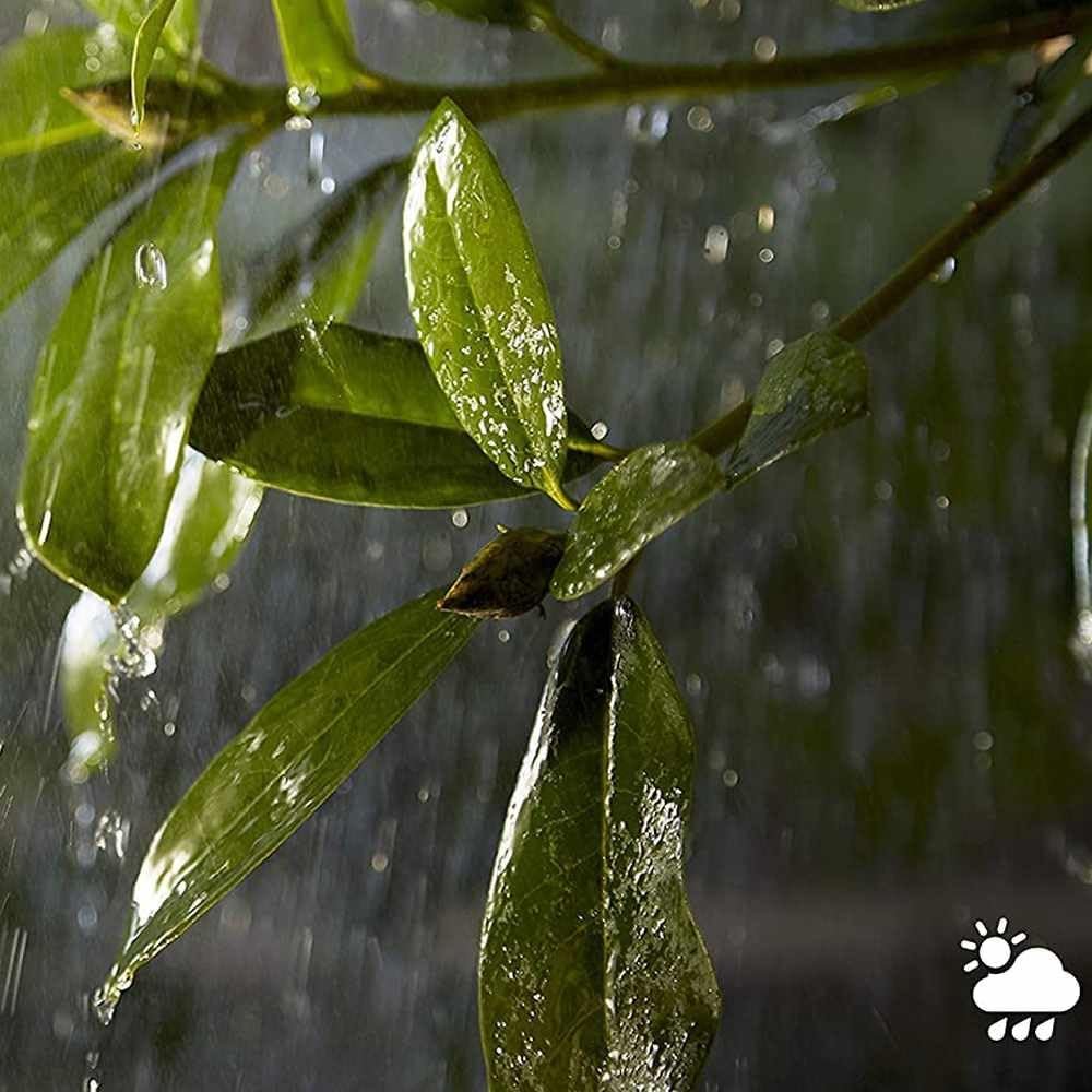 Philips Hue 40W Power Supply Box for Outdoor Smart Lights, Smart Lighting, Outdoor Lighting Accessories, Black