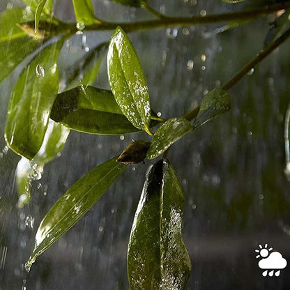 Philips Hue 40W Power Supply Box for Outdoor Smart Lights, Smart Lighting, Outdoor Lighting Accessories, Black