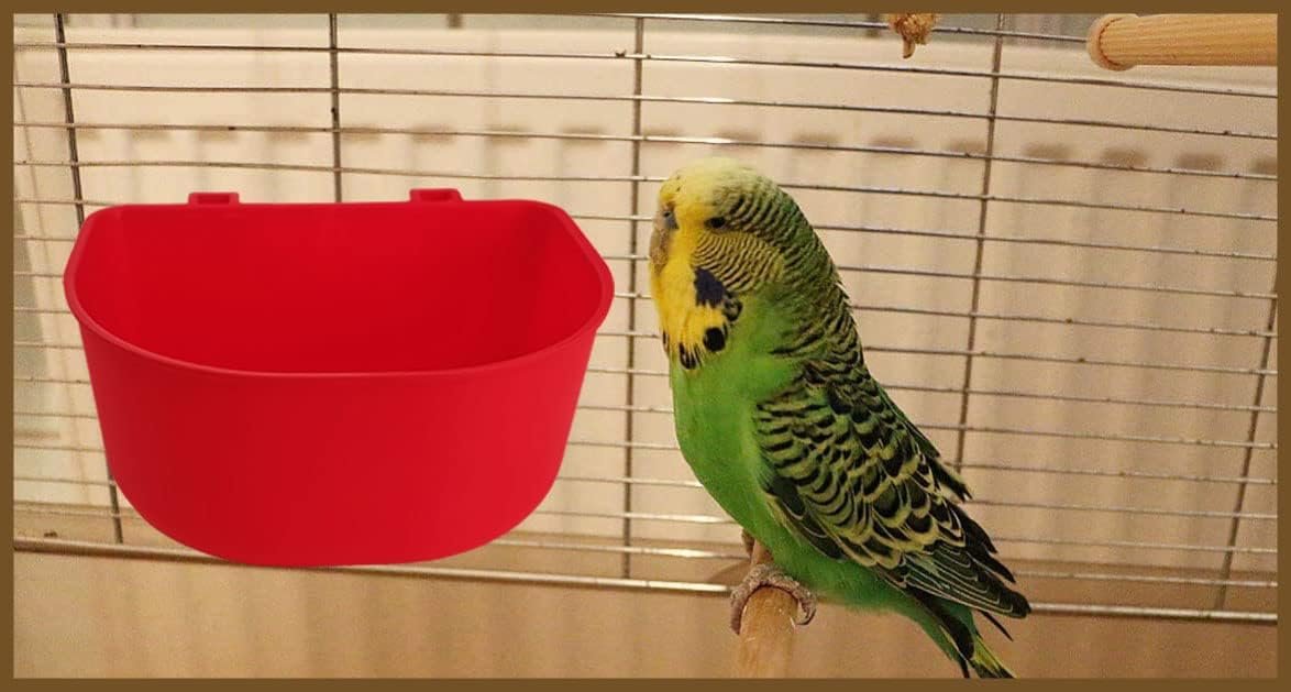 ORIBUKI 5 Pack Cage Cups Chicken Birds Feeder Water Bowl 25 OZ Rabbit Feeding Watering Dish for Travel Carrier Cat Puppy Food Dispenser Hanging Wire Cages Treats Box Seed Drinking Coop Cup Birdbath