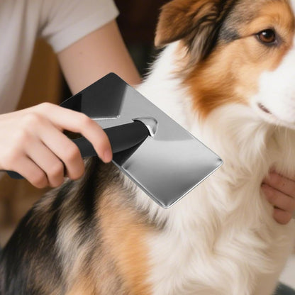 Bohany Spazzola per capelli per cani, spazzole per cani, forfora, strumenti per la cura dei cani, aghi in metallo, attrezzi per la pulizia degli animali domestici, strumento per la pulizia dei gatti