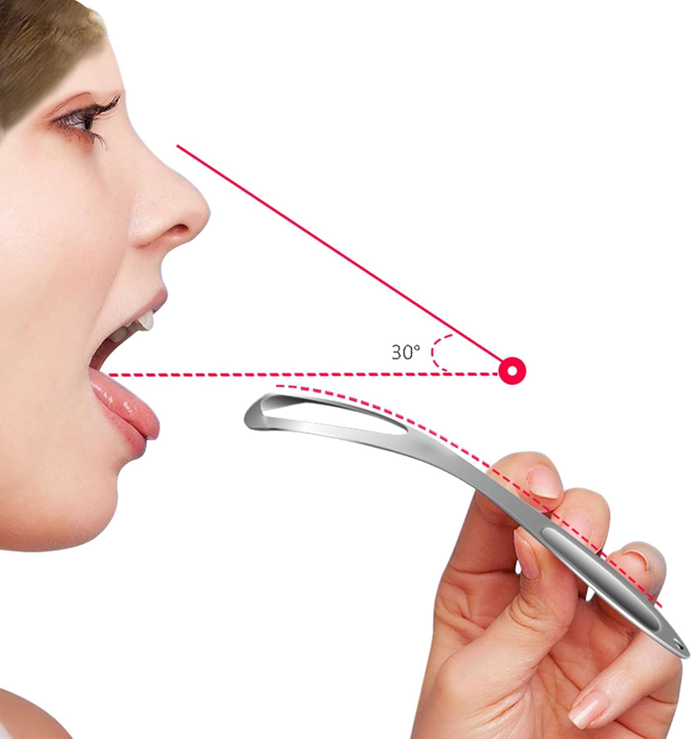 Tongue Scrubber, Stainless Steel Tongue Cleaner, Fan Shaped Oral Care Tool, Improve Hygiene, Ideal for Family, Adults, Bad Breath Remover, Teeth Health, 6.1 x 1.5 Inch