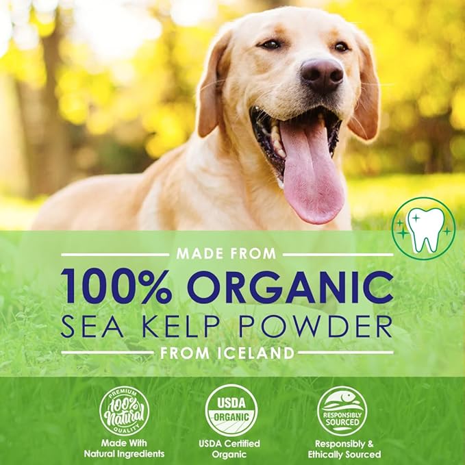 NuLife Natural Pet Health Dog Teeth Cleaning Powder, Dog Plaque and Tartar Remover, Bad Breath Treatment for Dogs with USDA Organic Sea Kelp Powder, Dog Dental Care Made Easy, for All Ages, 12 oz