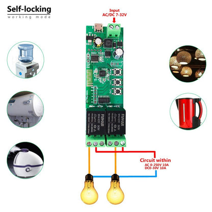 Newgoal 2-Channel WiFi Smart Switch Relay Module, TUYA/Smart Life App for Smart Home Remote Control, Momentary Time Adjustable, Compatible with Alexa/Google Assistant