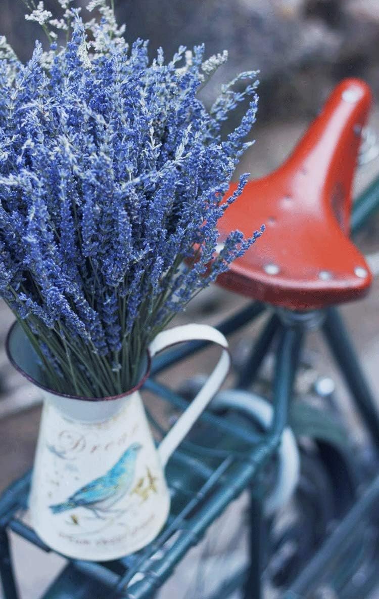 TooGet Natural Lavender Bundles, Freshly Harvested 200+ Stems Dried Lavender Bunch 16" - 18" Long, Decorative Flowers Bouquet for Home Decor, Crafts, Gift, Wedding or Any Occasion