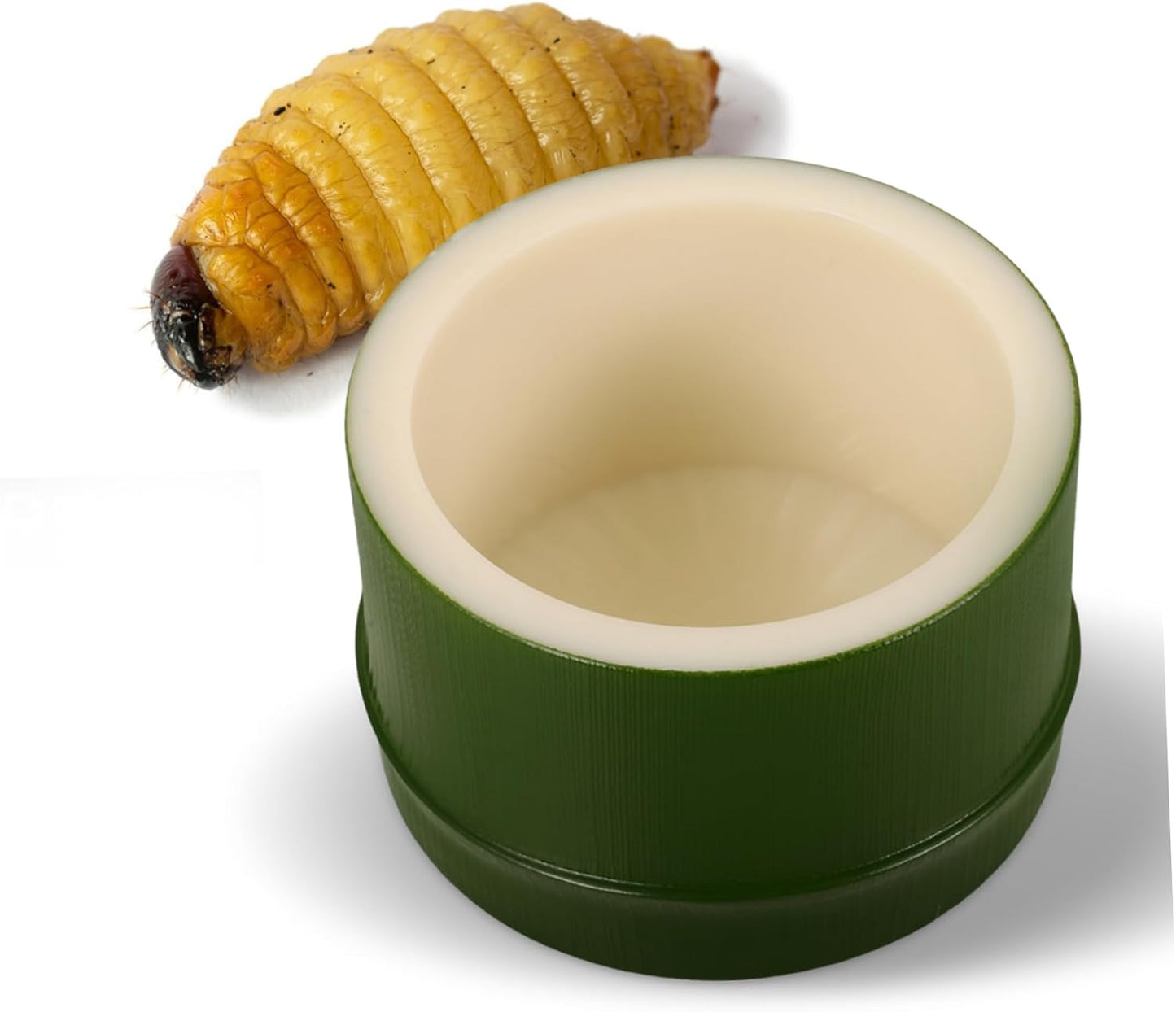 Generic Reptile Food Bowl for Lizard Versatile Food Holder Convenient Feeding Watering Dish for Reptiles and Insects for Pet Owners