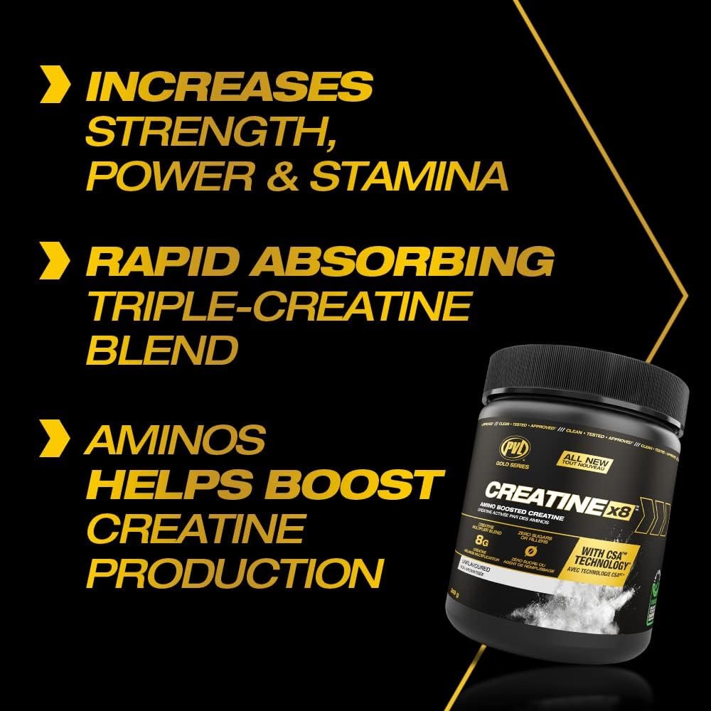 PVL Creatine X8 - Advanced Creatine Multiplier - creatine monohydrate powder + Amino Acid Supplement - 249 g - 30 Serving