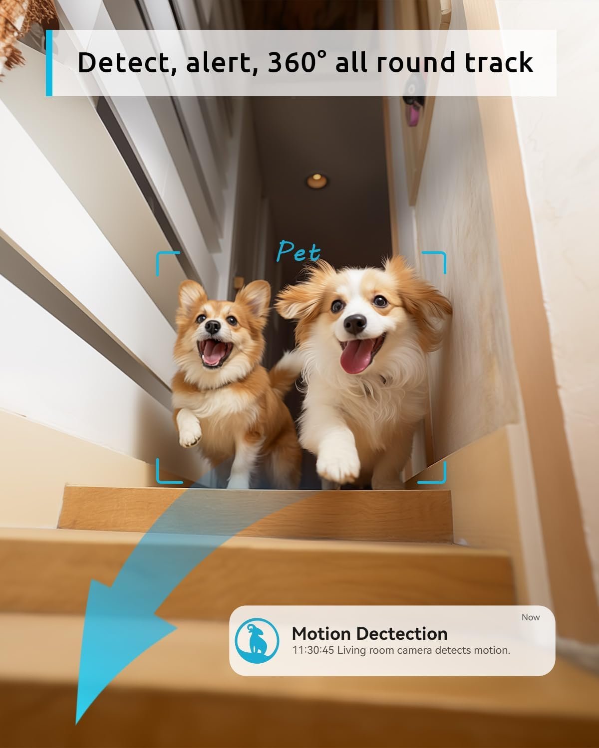 blurams Pet Camera 2K, 360Â° Indoor Security Camera, Dog Camera with Phone App, PTZ Cameras for Home Security Indoor, 5GHz&2.4GHz Dual-Band, 2-Way Talk, Motion Tracking, Color/IR Night Vision, Cloud&SD