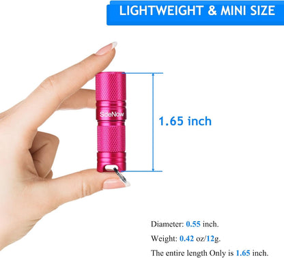 Mini Flashlight Keychain with Micro USB Tiny Flashlight Brightness can Achieve up to 200 lumens for EDC Torch (Red)