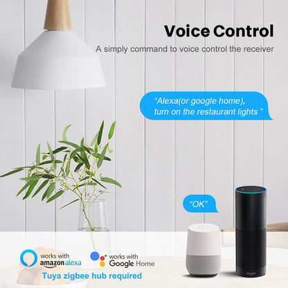 Zigbee WiFi Mini Smart Switch Relay Module 2 Way Dual-Mode Control 16A Switch for Smart Home Automation, Compatible with Alexa Google Home