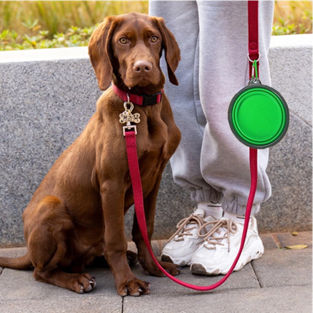 Collapsible Dog Bowl,Granmagazz 2 Pack Collapsible Silicone Dog Bowl, Portable Pet Feeding Watering Dish, Foldable Expandable Cup Dish for Small Pet Cat Food Water Feeding Portable Travel Bowl (Green)