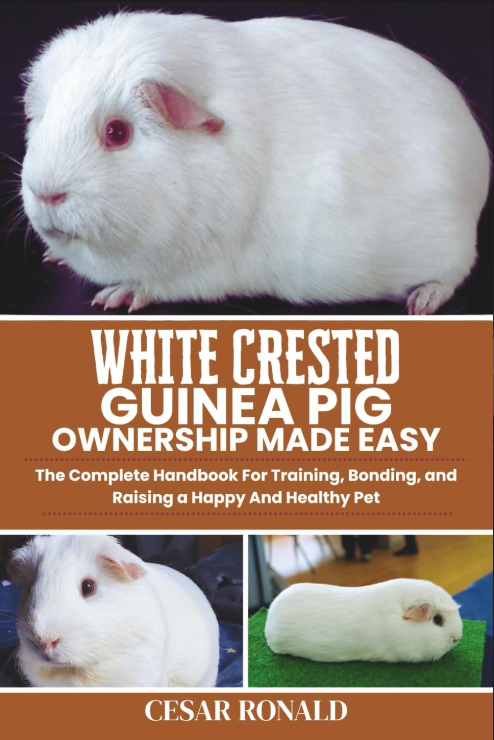 White Crested Guinea Pig Ownership Made Easy: The Complete Handbook For Training, Bonding, and Raising a Happy And Healthy Pet