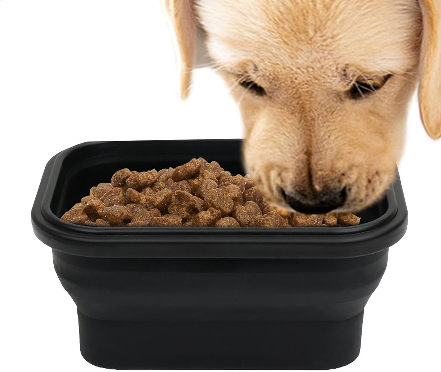 Poupangke Ciotole pieghevoli per cani, multifunzionali, compatte, ciotola per mangiare il cane, per mangiare, per passeggiate, viaggi, avventure all'aperto