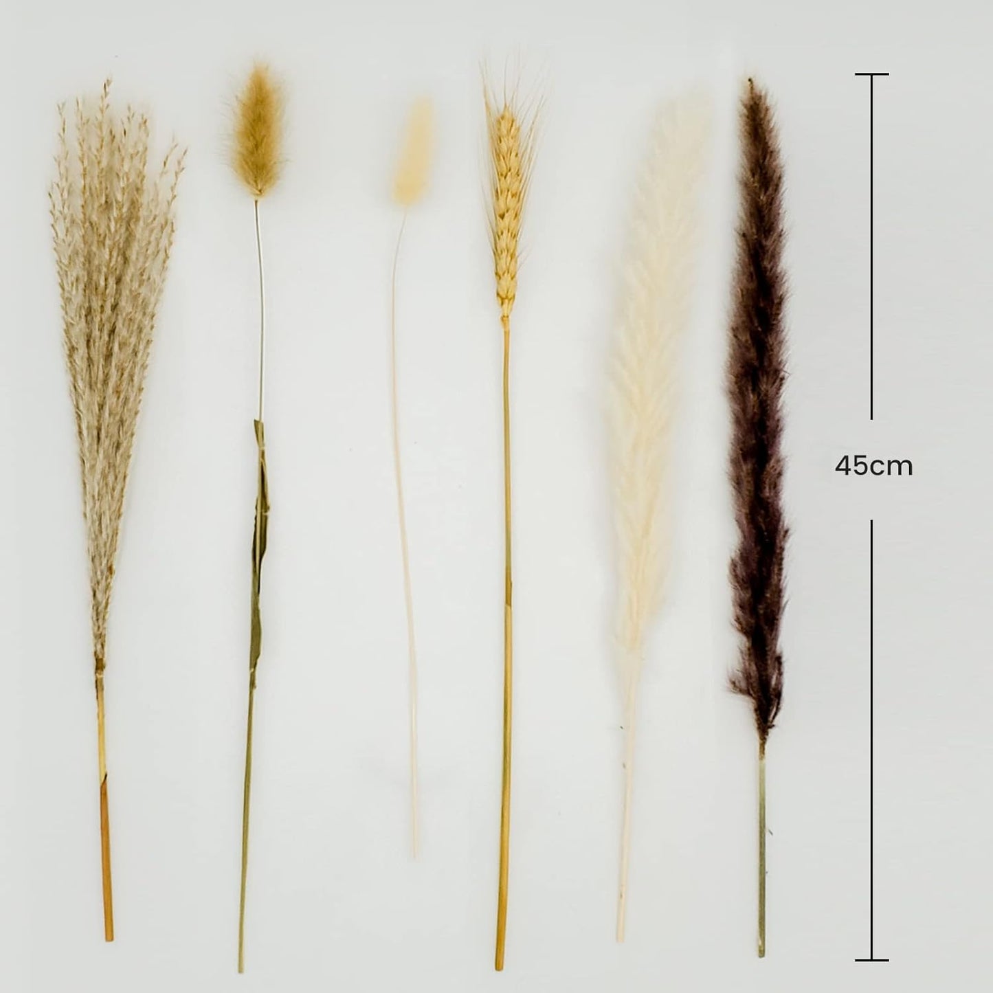 CRFNI 100 Pcs Pampas Grass - Natural Pampas & Reed Grass & Bunny Tails & Dried Wheat for Dried Flowers Arrangements Boho Wedding Home Decor