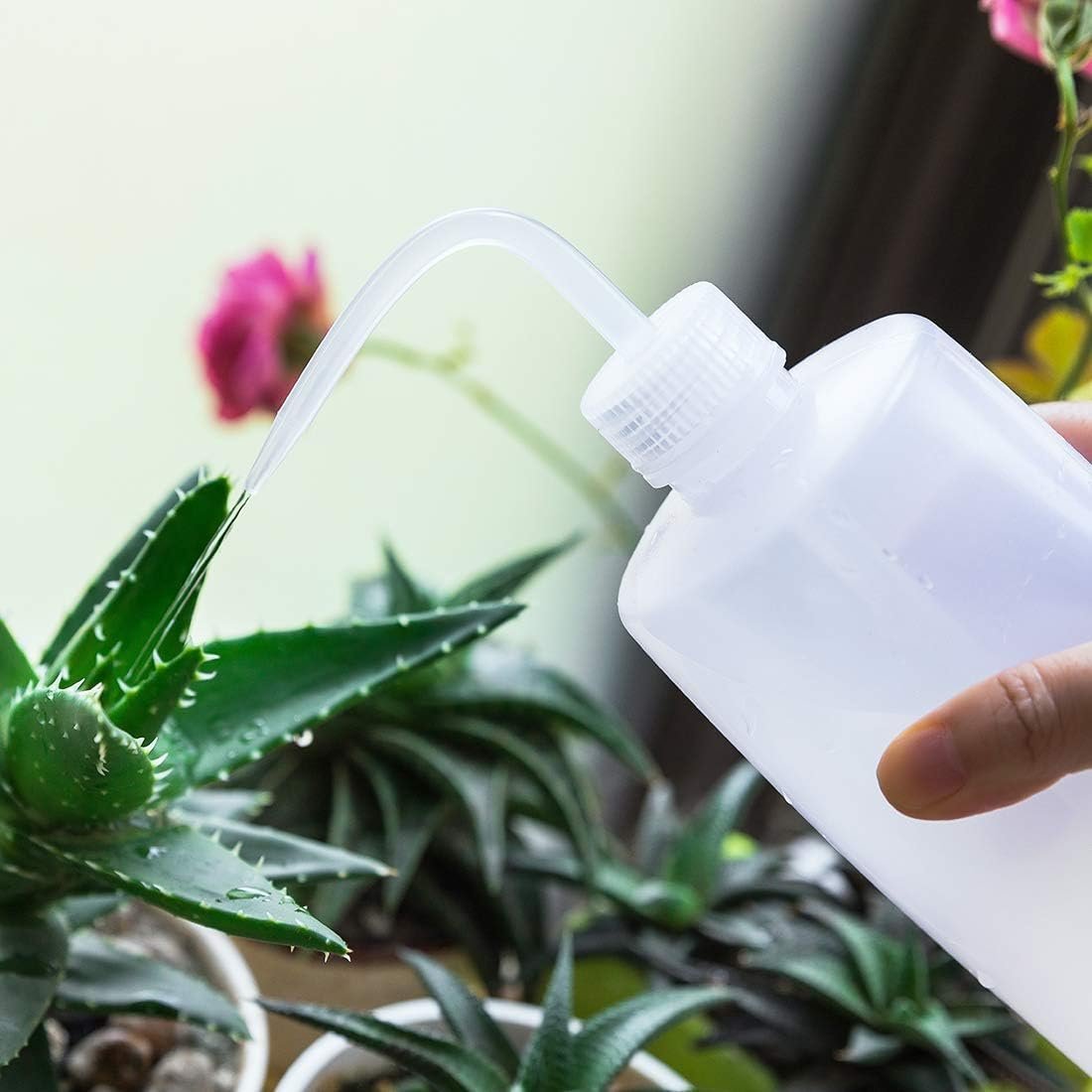 Wash Bottle,2pcs 250ml/8oz Squeeze Bottles,Succulent Watering Bottle,Safety Bottles Watering Tools,Plastic Squeeze Bottle for Chemistry, Industry, Lab & Gardening