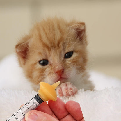 Pet Nursing Bottle, Nursing Bottle Kits, Replacement Nipple Mini Cat Feeding Bottle for Newborn Kittens, Puppies, Rabbits, Small Animals, Squirrel