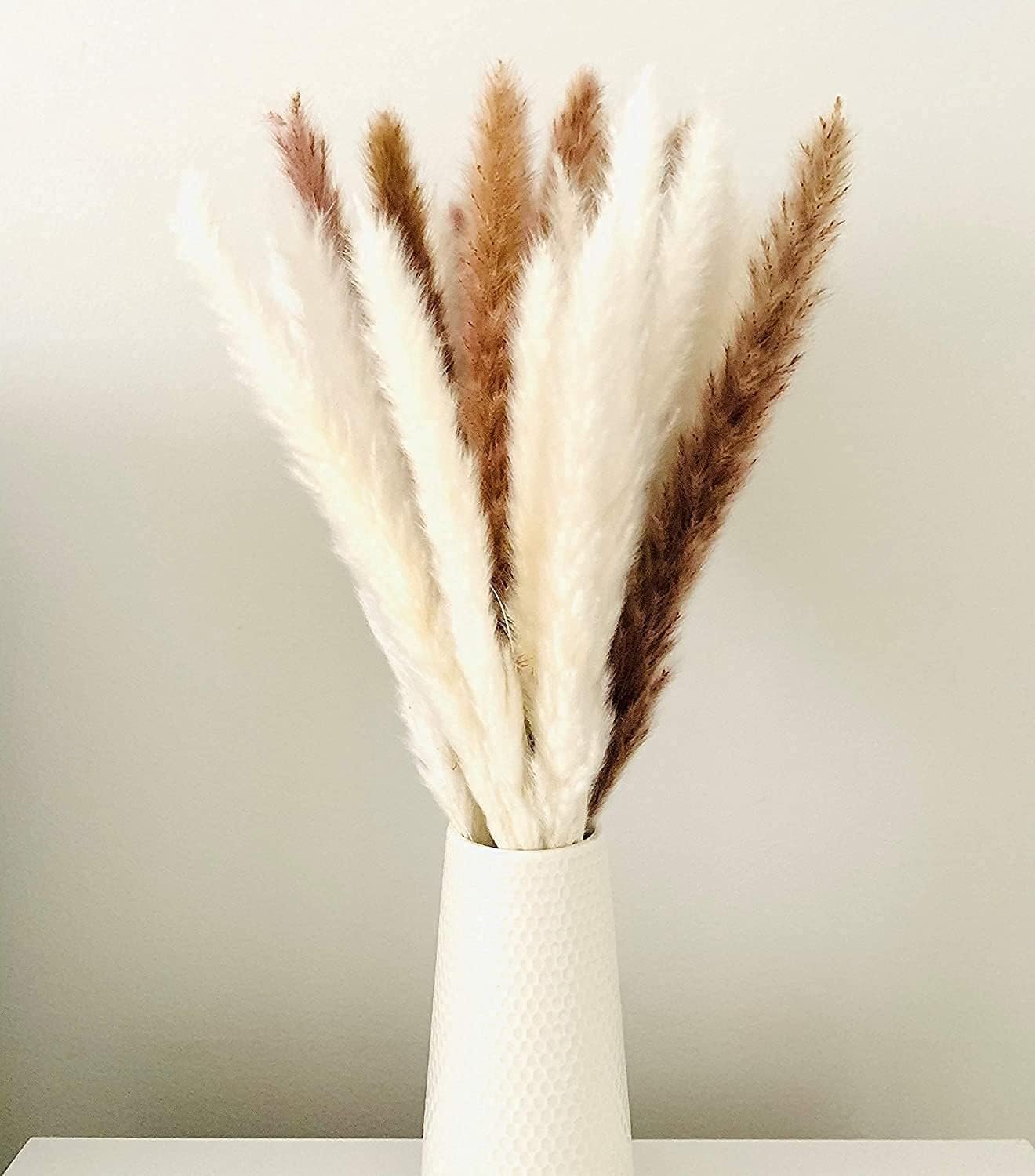 60 Pcs White Pampas Grass,17 inch/45 cm Natural Dried Pampas Grass Branches Decor for Home Kitchen Garden Party Photographing Flower Arrangement Vase Decor