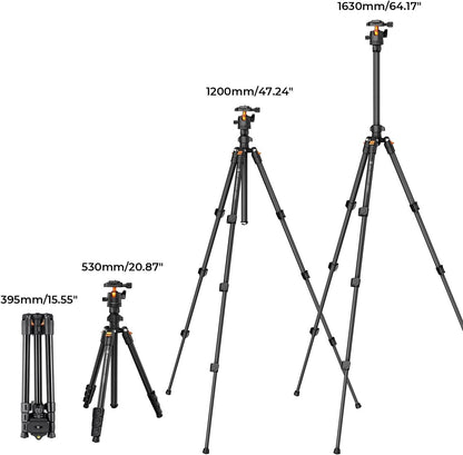 K&F Concept 64 inch/163cm Camera Tripod,Lightweight Travel Outdoor DSLR Tripods with 360 Degree Ball Head Load Capacity 8kg/17.6lbs,Cellphone Clip for Smartphone Live Streaming Vlog K234A0+BH-28L