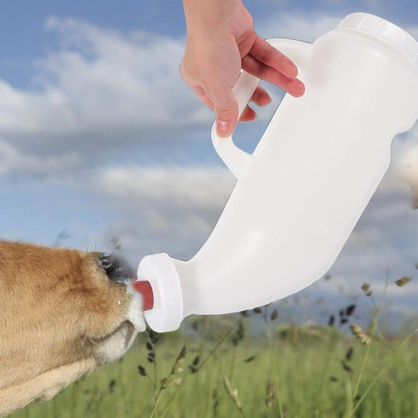 Calf Milk Bottle,Reusable Cow Baby Bottle Goat Milk Bottle - Ergonomic Sheep Nursing Bottle Lamb Milk Drinking Feeders for Livestock Calves Lambs