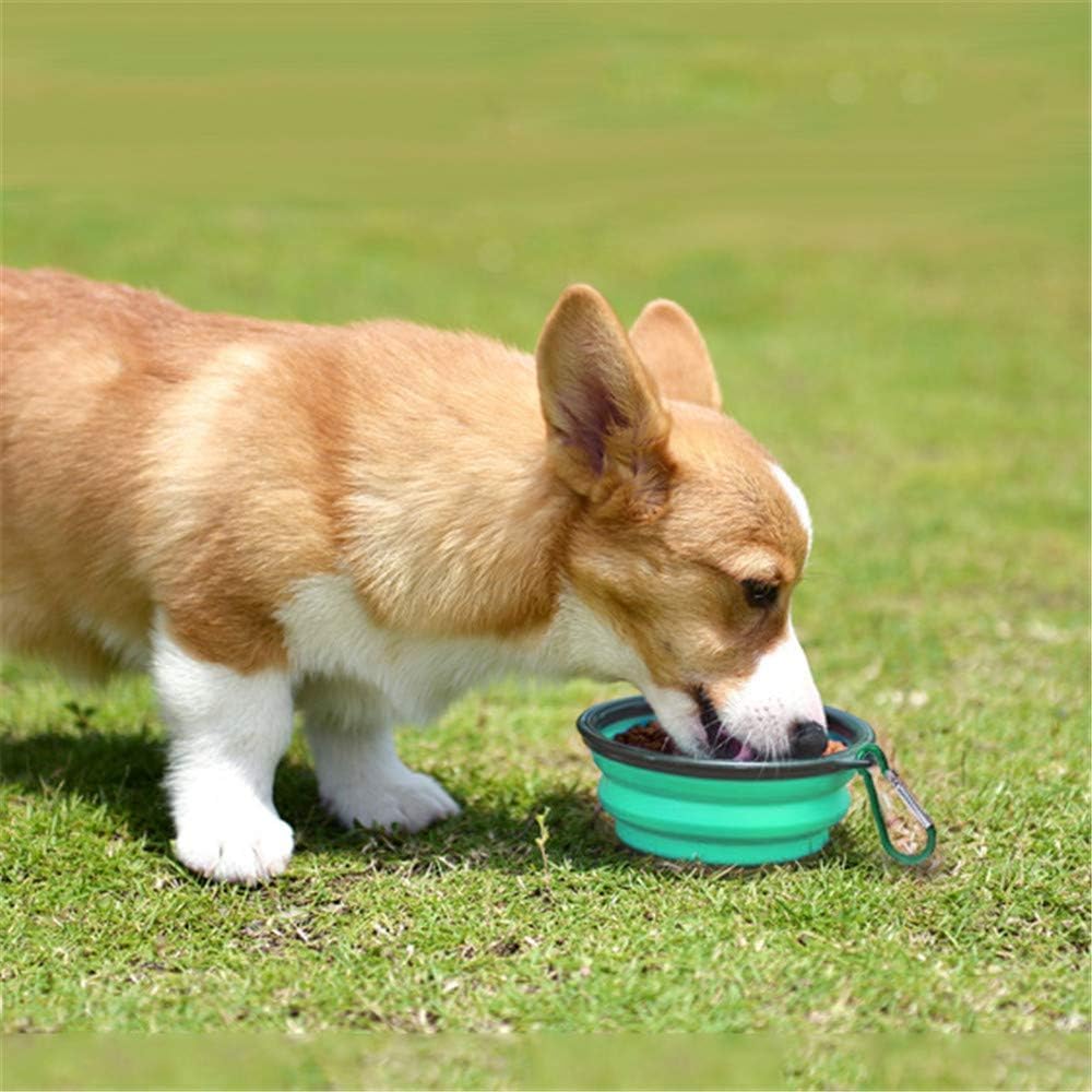 Silicone Feeding Watering Bowls with Lids and Carabiners, 2Set Dog Bowls Pet Collapsible Bowl with Covers and Carabiners, Silicone Collapsible Pet Dog Cat Food Water Bow with Covers and Carabiners