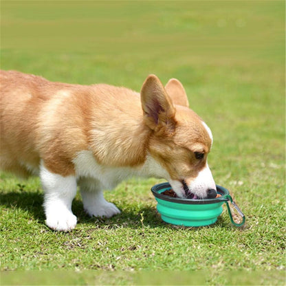 Silicone Feeding Watering Bowls with Lids and Carabiners, 2Set Dog Bowls Pet Collapsible Bowl with Covers and Carabiners, Silicone Collapsible Pet Dog Cat Food Water Bow with Covers and Carabiners
