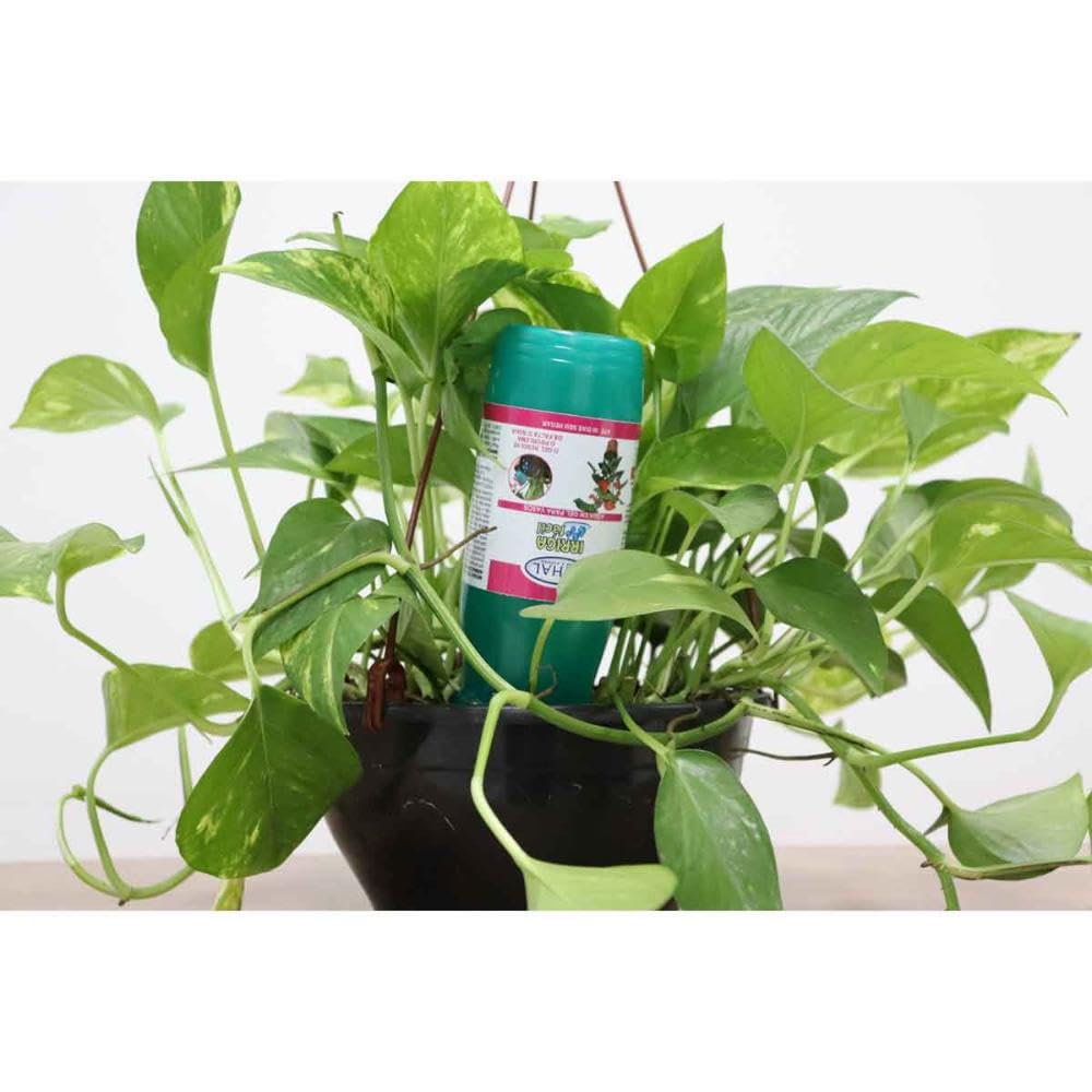 Easy Irrigation Gel Water Vithal