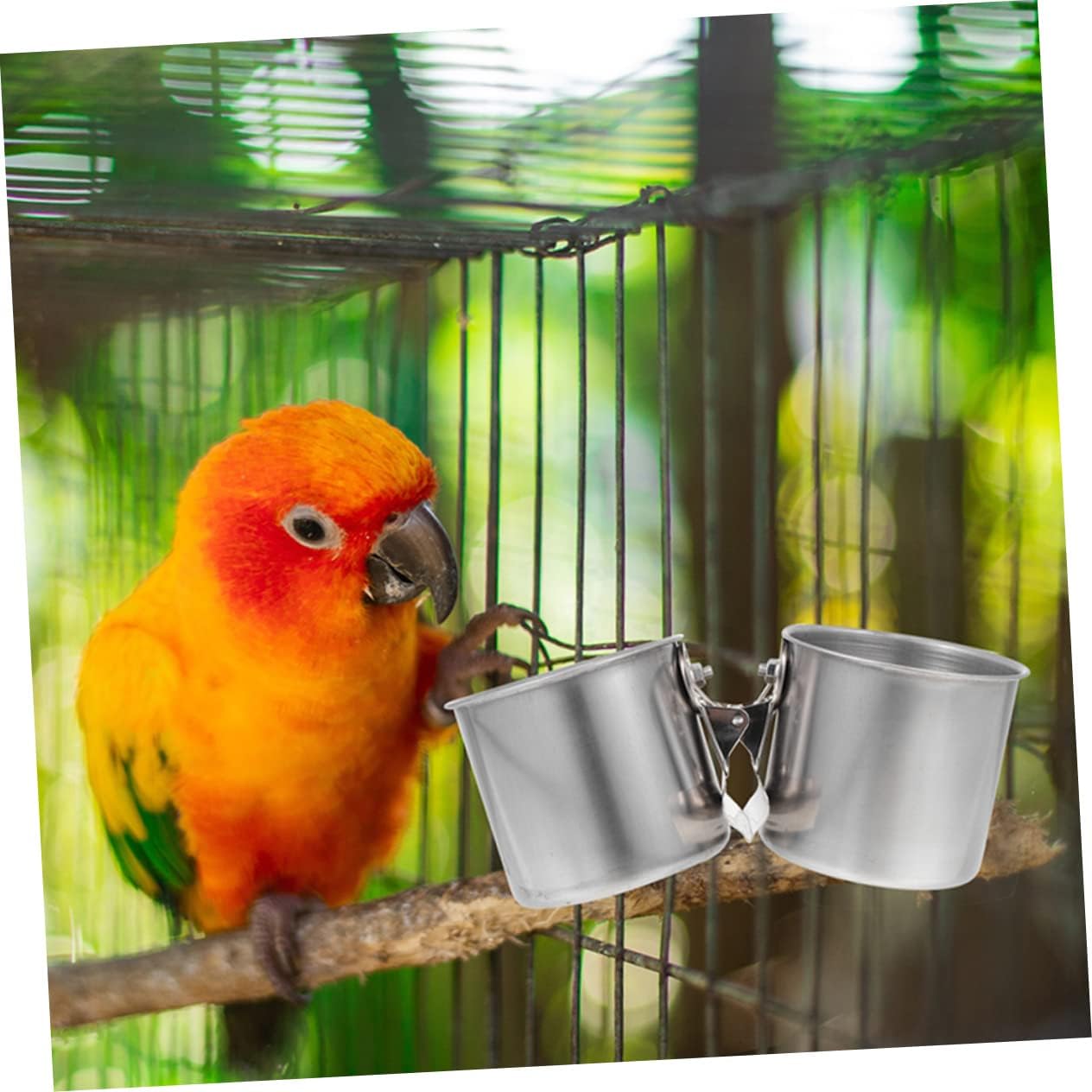 MOBUTOFU 2pcs Bird Feeder Feeding Basin for Bird Parrot Feeder Bird Food Dispenser Bird Feeding and Watering Supplies Parrot Food Dispenser Bird Food Container Parrot Hanging Feeder
