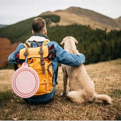 Collapsible Dog Bowls for Travel 2 Pack Dog Portable Water Bowl for Dogs Cats Foldable Feeding Watering Dish for Pets Walking Camping Parking with 2 Carabiners