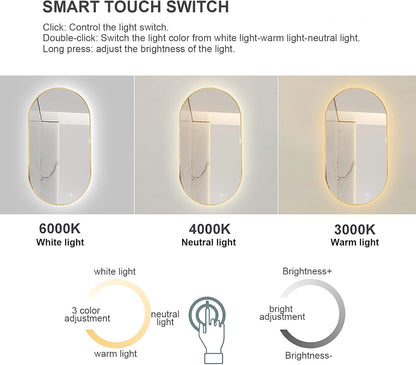 Specchio da bagno moderno ovale retroilluminato a LED con dimmerabile 3 temperatura di colore Smart Lighting Specchio da trucco a parete per Vanity Telaio in lega di alluminio nero 40X70 CM