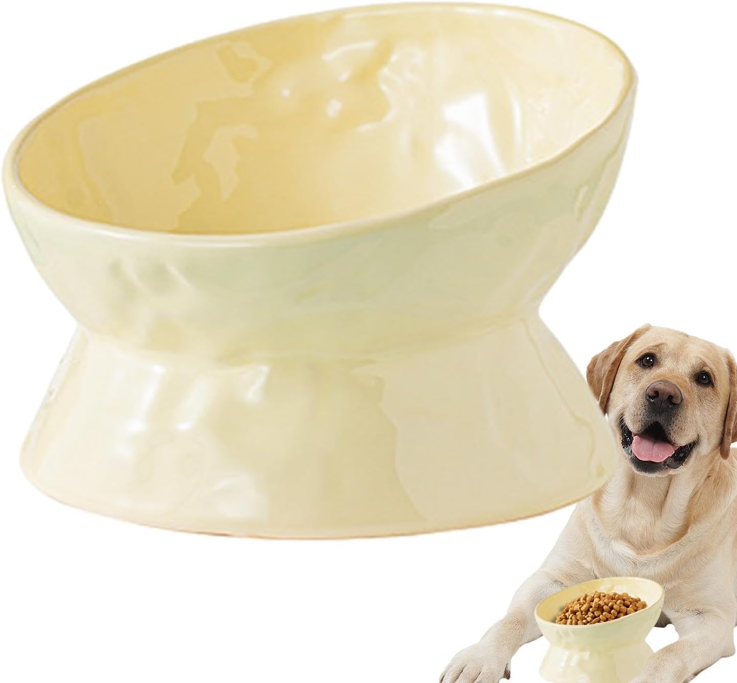 Ceramic Cat Food Bowls Elevated | Tilted Feeding Dish Water Bowls,Pet Feeding Watering Supplies for Indoor Cat and Dog, Protect Pet's Spine