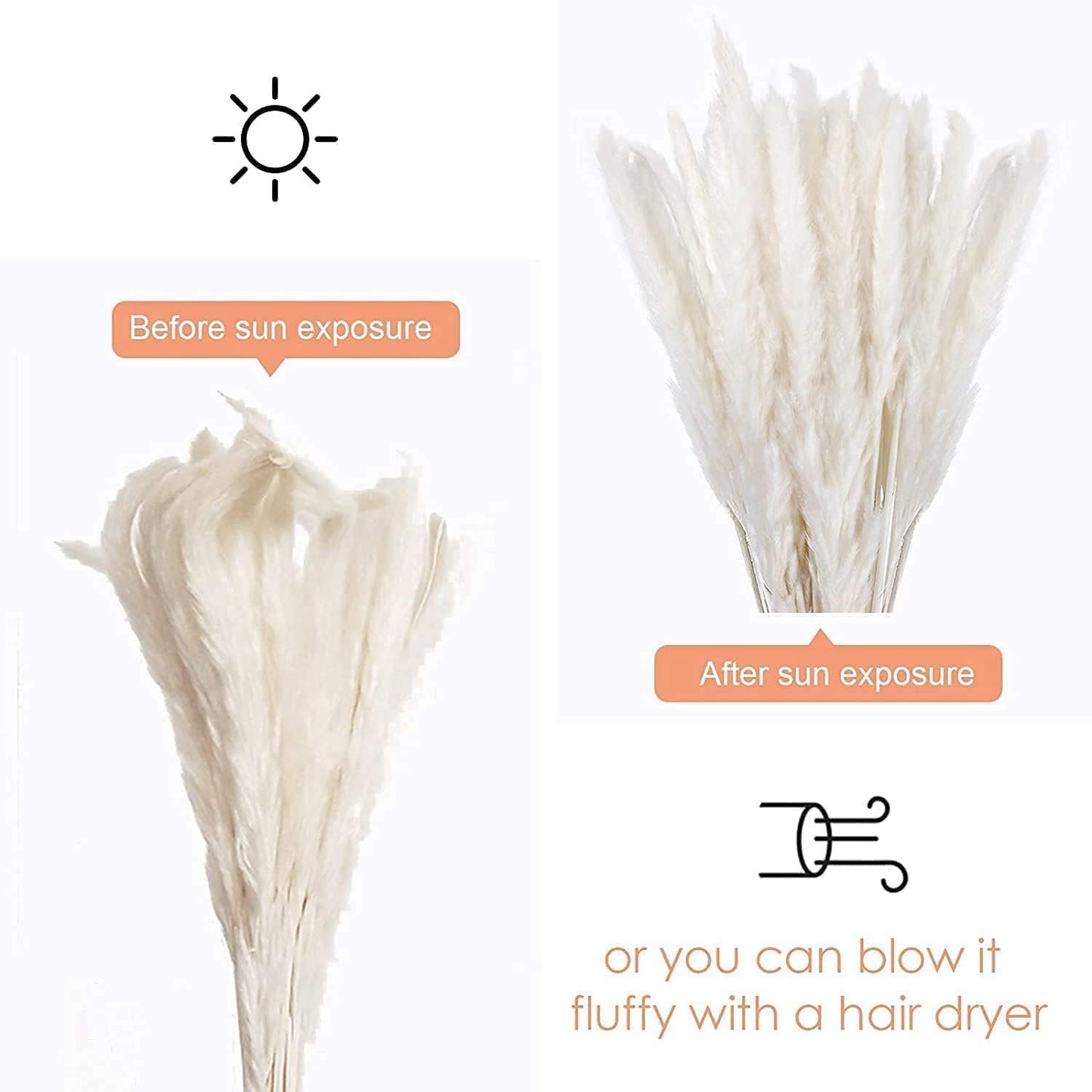 60 Pcs White Pampas Grass,17 inch/45 cm Natural Dried Pampas Grass Branches Decor for Home Kitchen Garden Party Photographing Flower Arrangement Vase Decor