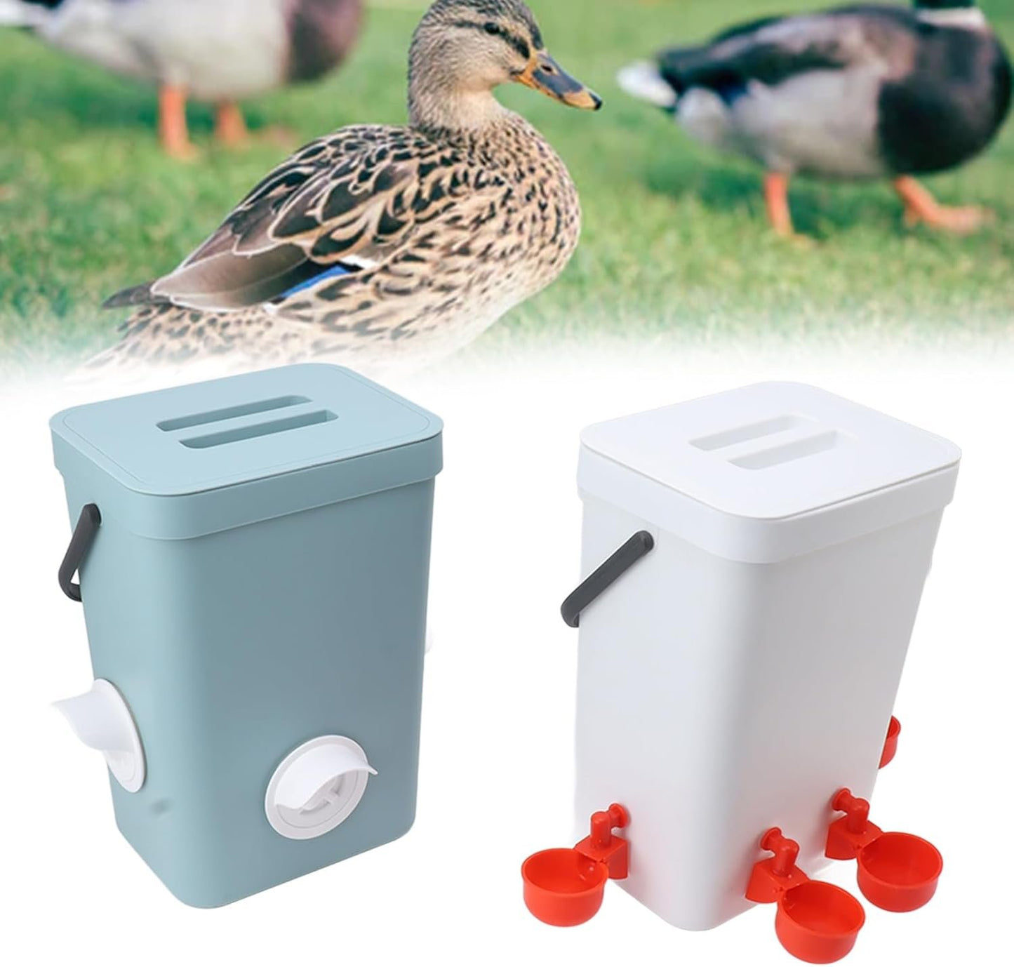 Chicken Feeder Water Dispenser Automatic Poultry Breeding Watering Feeding Container Set