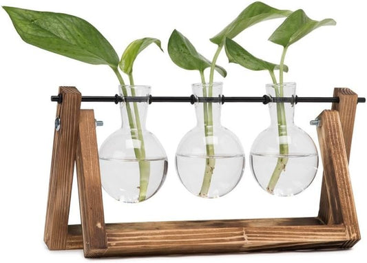 Hyindoor Modern Hydroponic Glass Bulb Vase, Home Office Garden Decoration