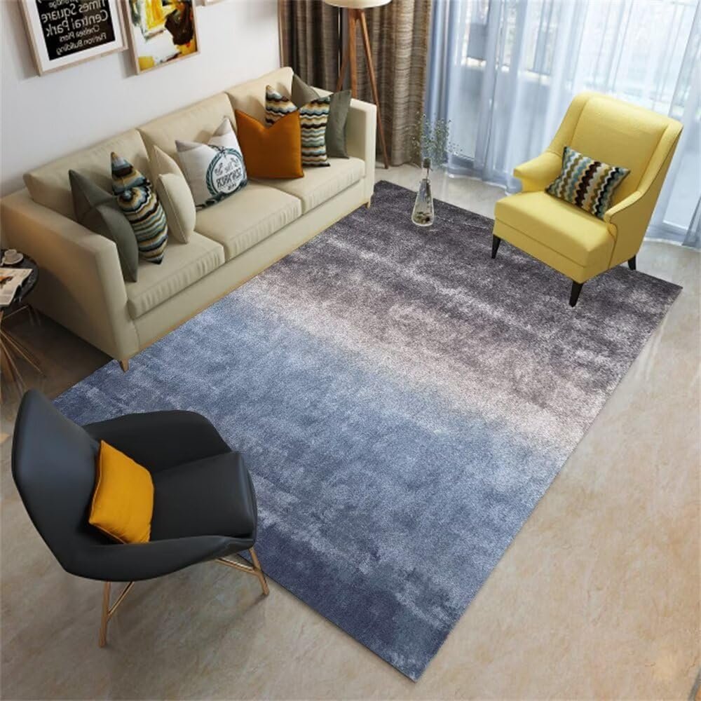 SUNYRDSM Tappeto cameretta bambina Tappeto Grande Fuzzy soggiorno tappeto grigio-blu accessori per la decorazione della casa semplice e resistente Tappeto Entrata In Casa 60X100CM