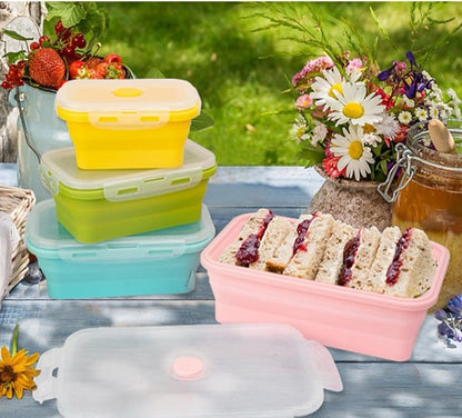 Pack of 4, Collapsible Food Supplement Box, Collapsible Silicone Food Storage Container with Clip-on Lid, Stackable, Space Saving, Dishwasher Safe, BPA Free
