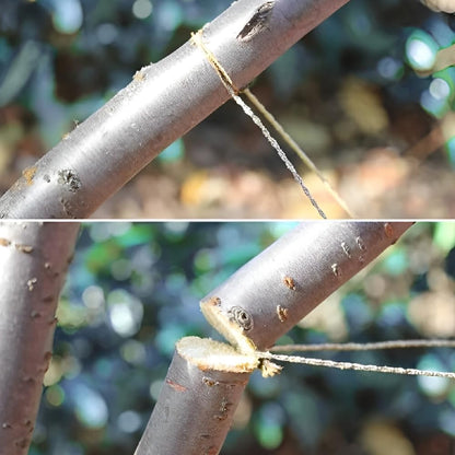 Emergency Wire Saw 2 Pcs, 31.5inch Pocket Saw for Outdoor Camping Survival - Tree Wood PVC Pipe Cutting Tool